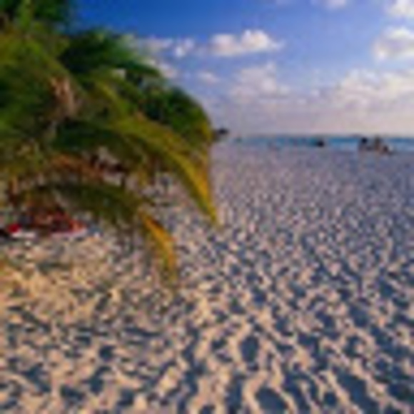 Meet your Posher, Sasvkc - Picture 1 of 1